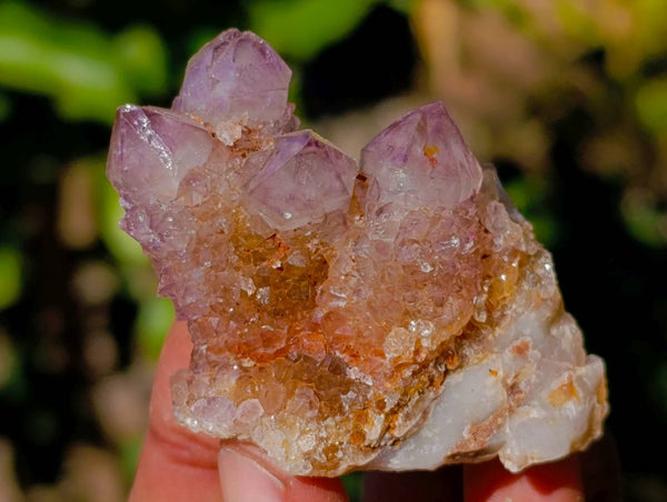 Natural Amethyst Spirit Quartz Clusters x 12 From Boekenhouthoek, South Africa