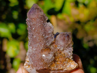 Natural Amethyst Spirit Quartz Clusters x 12 From Boekenhouthoek, South Africa