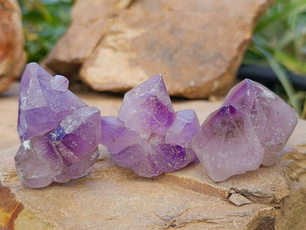 Natural Window Amethyst Crystals x 21 From Madagascar