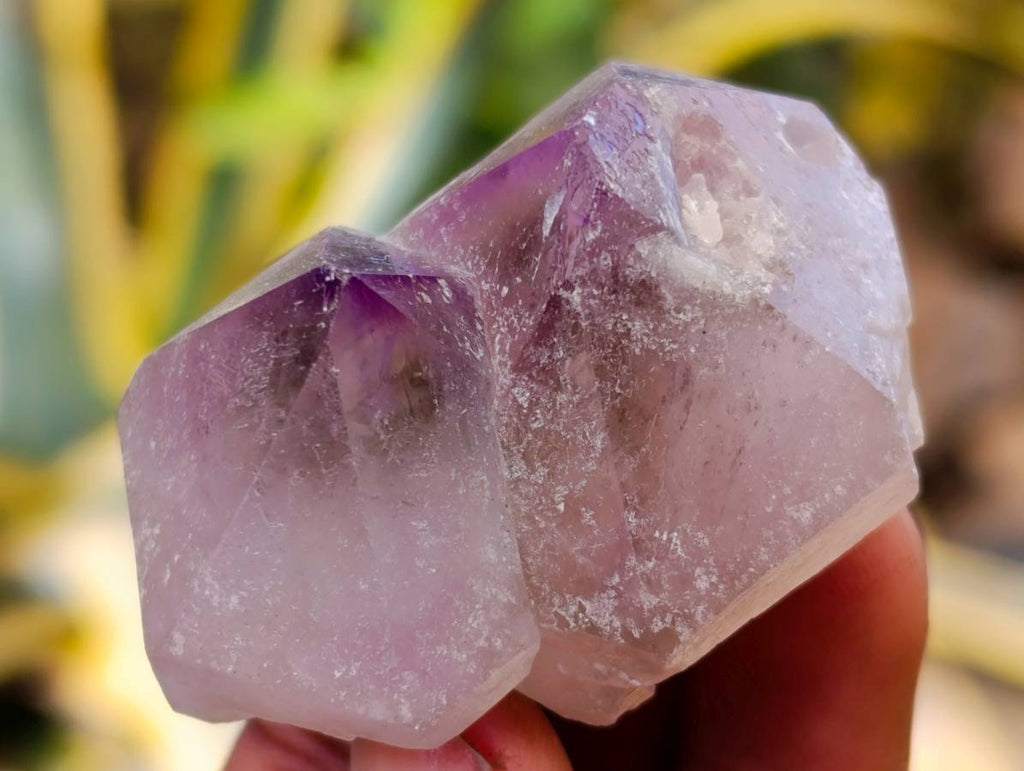 Natural Window Amethyst Crystals x 21 From Madagascar - Toprock Gemstones and Minerals 