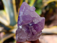 Natural Window Amethyst Crystals x 21 From Madagascar