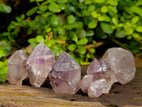 Natural Window Amethyst Crystals x 21 From Madagascar