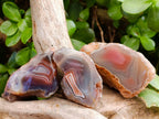 Polished On One Side Red Sashe River Agate Nodules x 20 From Zimbabwe - Toprock Gemstones and Minerals 