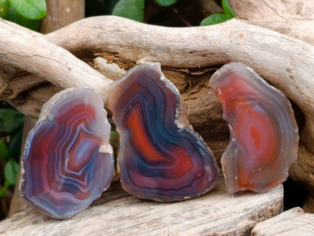 Polished On One Side Red Sashe River Agate Nodules x 20 From Zimbabwe - Toprock Gemstones and Minerals 