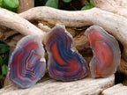 Polished On One Side Red Sashe River Agate Nodules x 20 From Zimbabwe - Toprock Gemstones and Minerals 