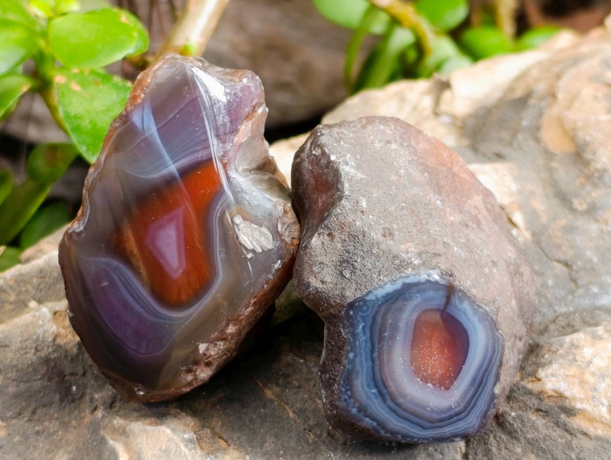 Polished On One Side Red Sashe River Agate Nodules x 20 From Zimbabwe - Toprock Gemstones and Minerals 