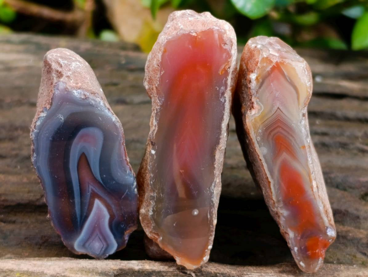 Polished On One Side Red Sashe River Agate Nodules x 20 From Zimbabwe - Toprock Gemstones and Minerals 