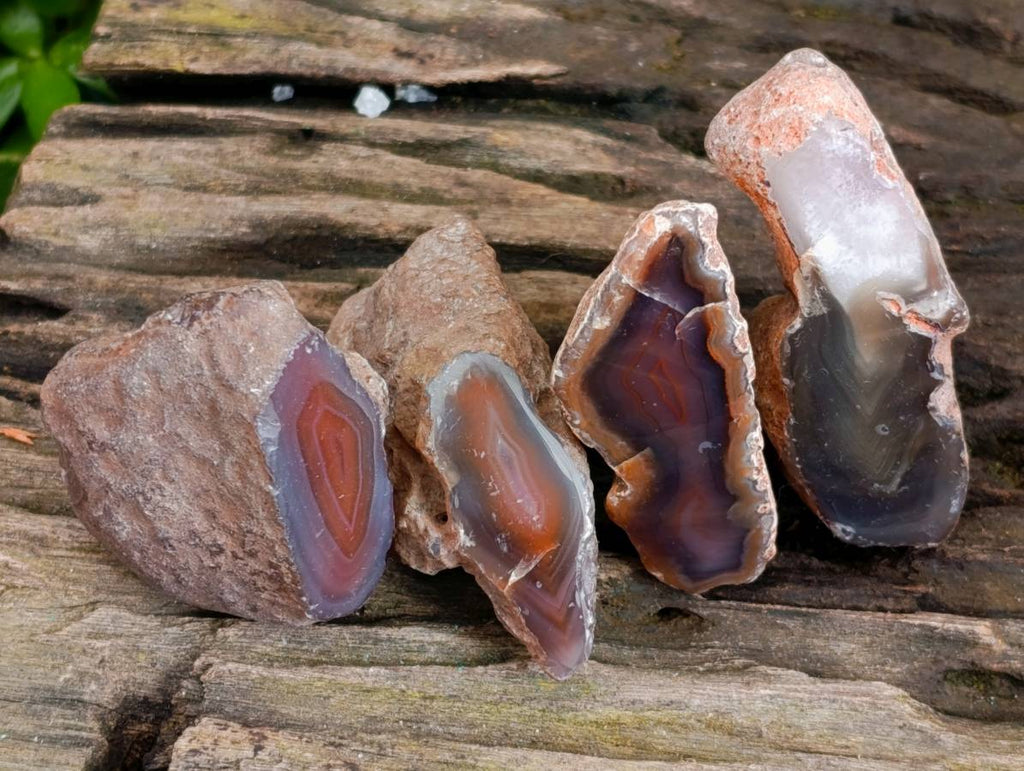 Polished On One Side Red Sashe River Agate Nodules x 20 From Zimbabwe - Toprock Gemstones and Minerals 