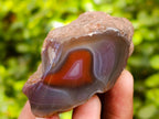 Polished On One Side Red Sashe River Agate Nodules x 20 From Zimbabwe - Toprock Gemstones and Minerals 