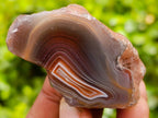 Polished On One Side Red Sashe River Agate Nodules x 20 From Zimbabwe - Toprock Gemstones and Minerals 