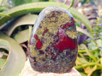 Polished Bastite Dragons Blood Standing Free Forms x 2 From Tshipise, South Africa - Toprock Gemstones and Minerals 