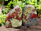 Polished Bastite Dragons Blood Standing Free Forms x 2 From Tshipise, South Africa - Toprock Gemstones and Minerals 