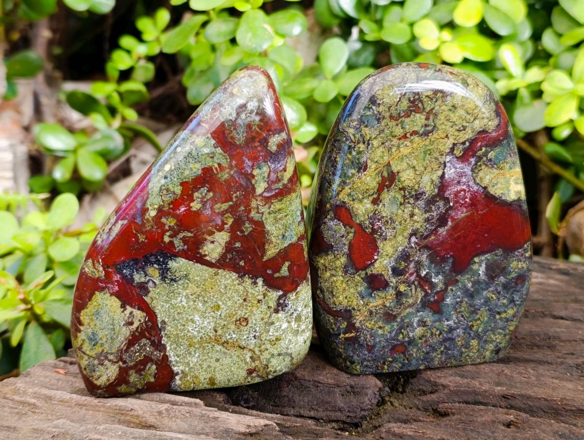 Polished Bastite Dragons Blood Standing Free Forms x 2 From Tshipise, South Africa - Toprock Gemstones and Minerals 