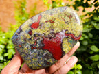 Polished Bastite Dragons Blood Standing Free Forms x 2 From Tshipise, South Africa - Toprock Gemstones and Minerals 