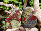Polished Bastite Dragons Blood Standing Free Forms x 2 From Tshipise, South Africa - Toprock Gemstones and Minerals 
