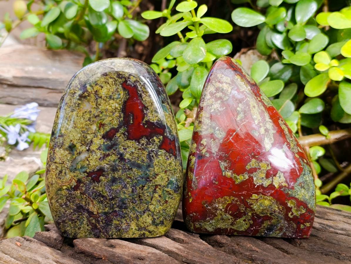 Polished Bastite Dragons Blood Standing Free Forms x 2 From Tshipise, South Africa - Toprock Gemstones and Minerals 