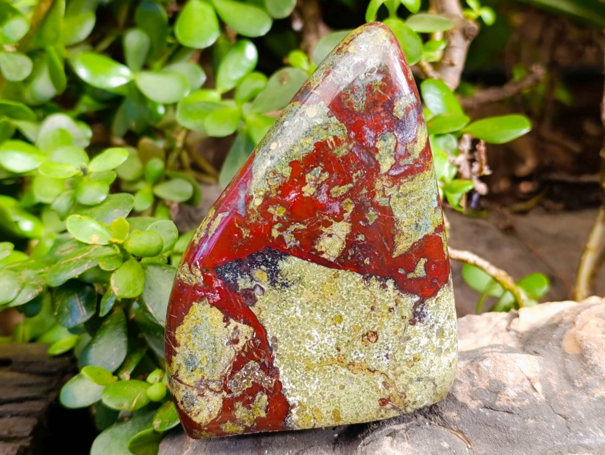 Polished Bastite Dragons Blood Standing Free Forms x 2 From Tshipise, South Africa - Toprock Gemstones and Minerals 