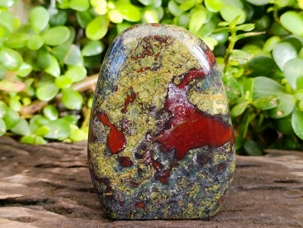 Polished Bastite Dragons Blood Standing Free Forms x 2 From Tshipise, South Africa - Toprock Gemstones and Minerals 