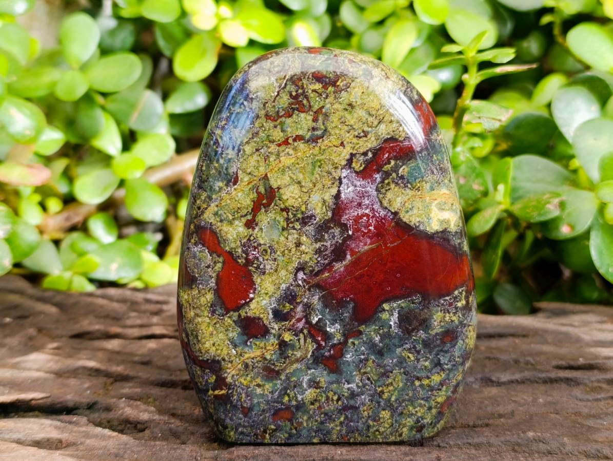 Polished Bastite Dragons Blood Standing Free Forms x 2 From Tshipise, South Africa - Toprock Gemstones and Minerals 