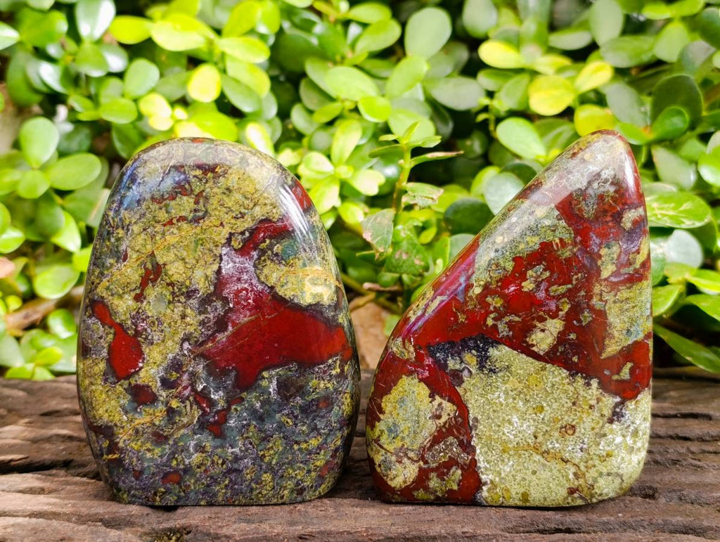 Polished Bastite Dragons Blood Standing Free Forms x 2 From Tshipise, South Africa - Toprock Gemstones and Minerals 