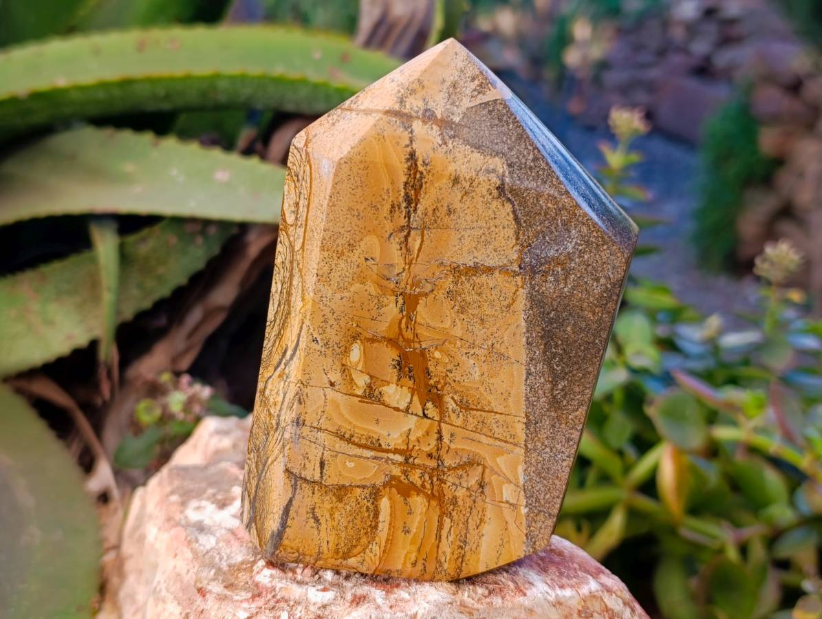 Polished Picture Stone Jasper Points x 3 From Ais-Ais, Namibia - Toprock Gemstones and Minerals 