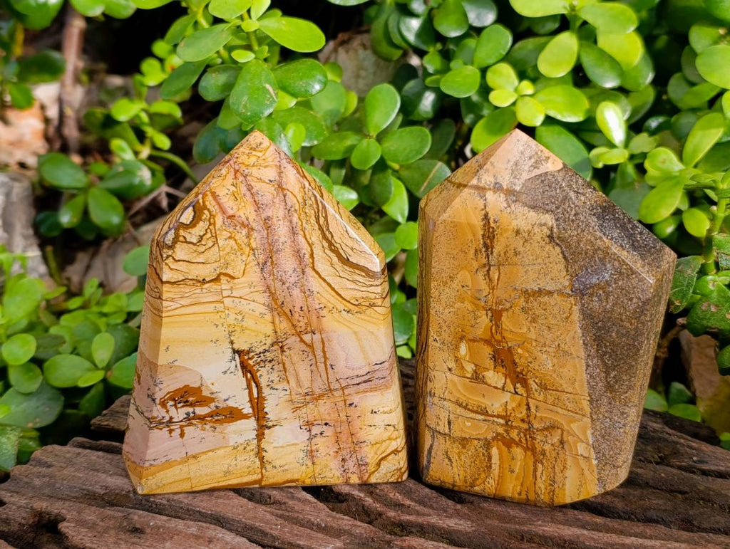 Polished Picture Stone Jasper Points x 3 From Ais-Ais, Namibia - Toprock Gemstones and Minerals 