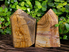 Polished Picture Stone Jasper Points x 3 From Ais-Ais, Namibia - Toprock Gemstones and Minerals 
