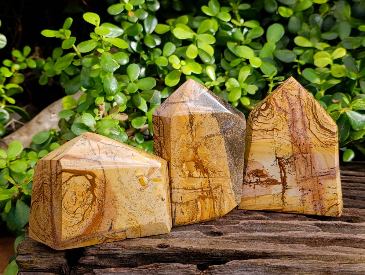 Polished Picture Stone Jasper Points x 3 From Ais-Ais, Namibia - Toprock Gemstones and Minerals 