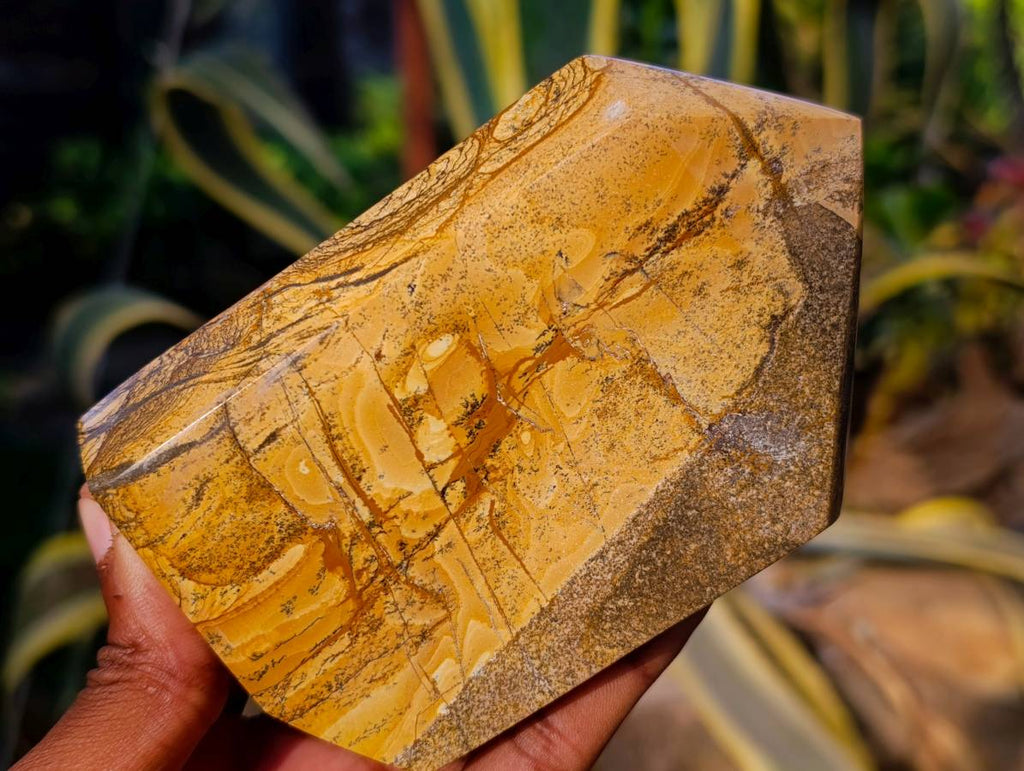 Polished Picture Stone Jasper Points x 3 From Ais-Ais, Namibia - Toprock Gemstones and Minerals 