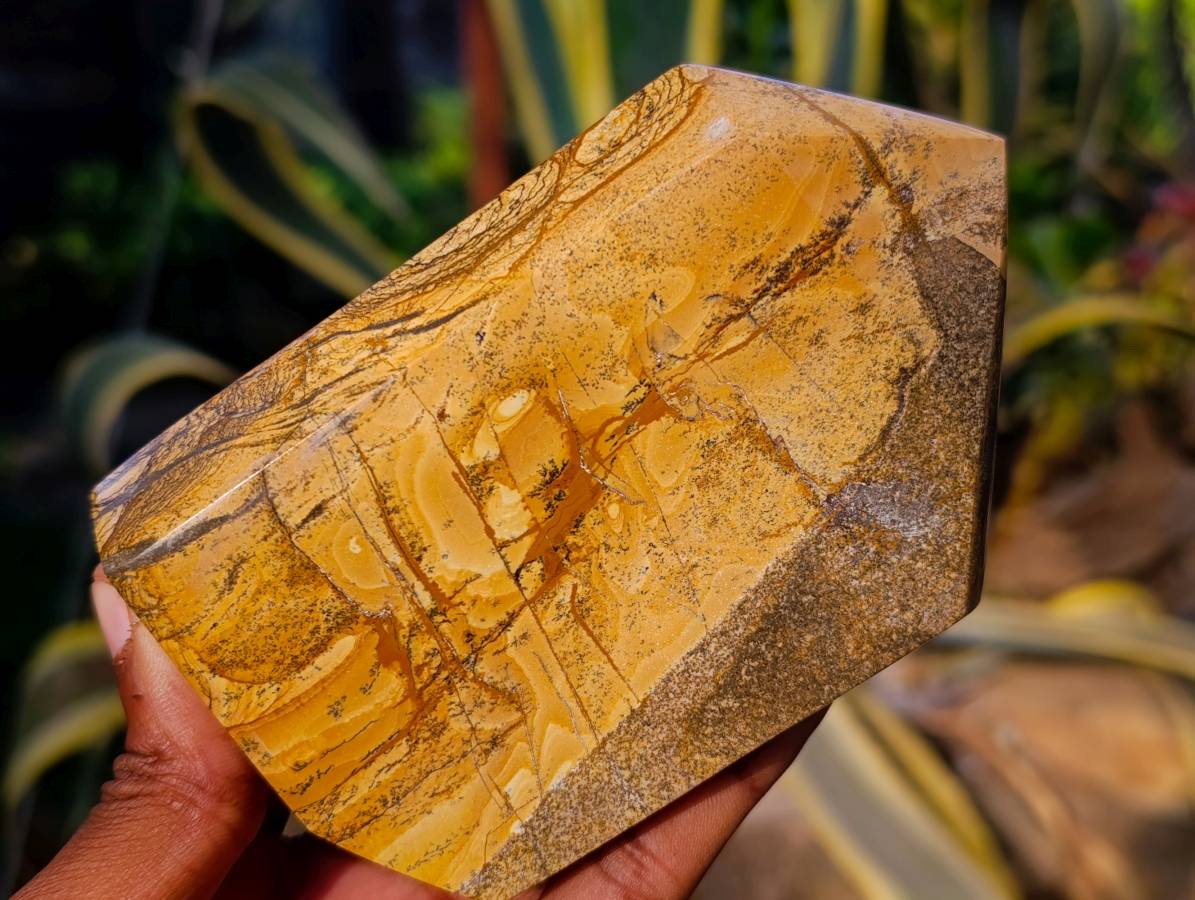 Polished Picture Stone Jasper Points x 3 From Ais-Ais, Namibia - Toprock Gemstones and Minerals 