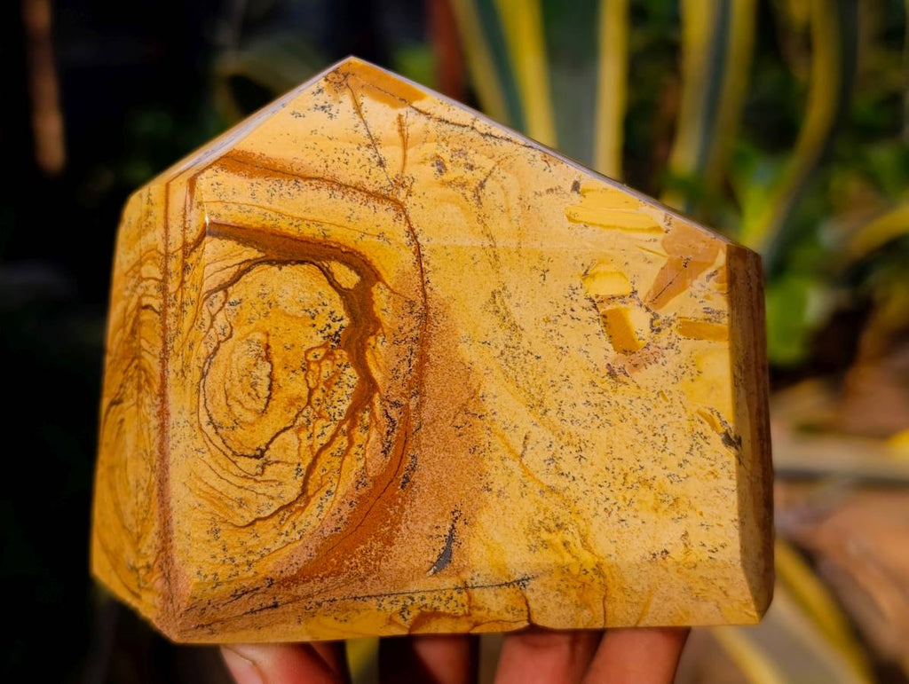 Polished Picture Stone Jasper Points x 3 From Ais-Ais, Namibia - Toprock Gemstones and Minerals 