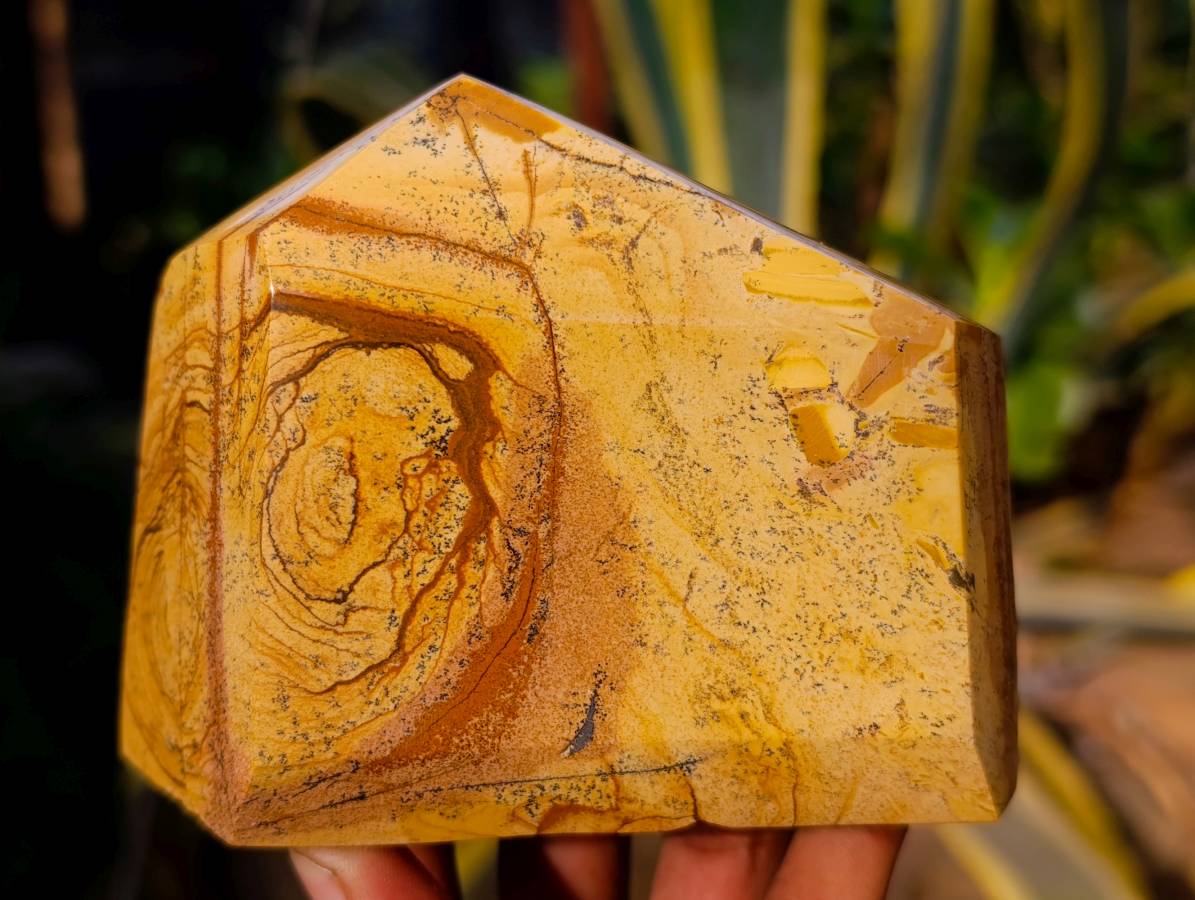 Polished Picture Stone Jasper Points x 3 From Ais-Ais, Namibia - Toprock Gemstones and Minerals 