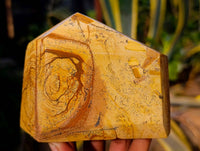 Polished Picture Stone Jasper Points x 3 From Ais-Ais, Namibia - Toprock Gemstones and Minerals 