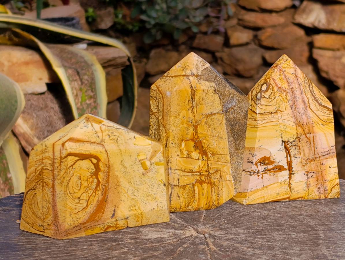 Polished Picture Stone Jasper Points x 3 From Ais-Ais, Namibia - Toprock Gemstones and Minerals 