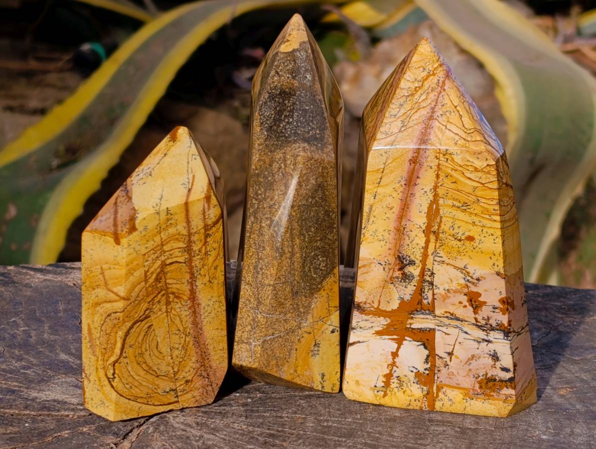 Polished Picture Stone Jasper Points x 3 From Ais-Ais, Namibia - Toprock Gemstones and Minerals 