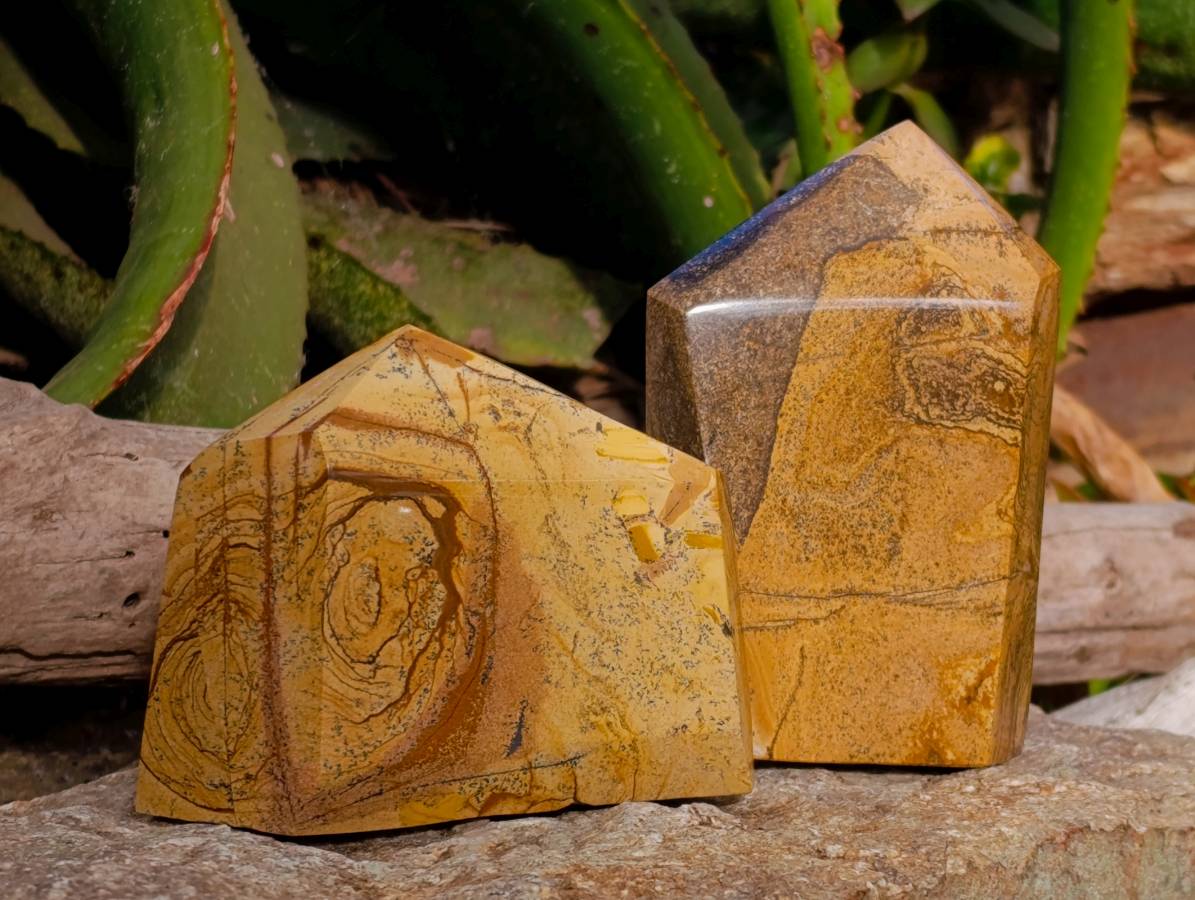 Polished Picture Stone Jasper Points x 3 From Ais-Ais, Namibia - Toprock Gemstones and Minerals 