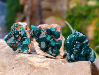 Natural Dioptase on Dolomite Matrix Specimens x 20 From Likasi, Congo
