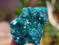 Natural Dioptase on Dolomite Matrix Specimens x 20 From Likasi, Congo