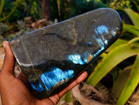 Polished Labradorite Standing Free Form x 1 From Tulear, Madagascar