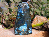 Polished Labradorite Standing Free Form x 1 From Tulear, Madagascar