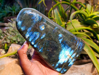Polished Labradorite Standing Free Form x 1 From Tulear, Madagascar