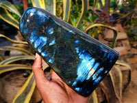 Polished Labradorite Standing Free Form x 1 From Tulear, Madagascar