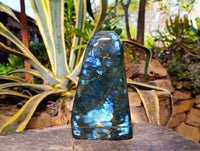 Polished Labradorite Standing Free Form x 1 From Tulear, Madagascar