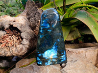 Polished Labradorite Standing Free Form x 1 From Tulear, Madagascar