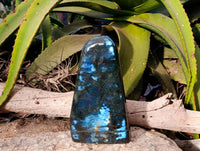Polished Labradorite Standing Free Form x 1 From Tulear, Madagascar