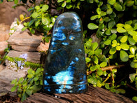 Polished Labradorite Standing Free Form x 1 From Tulear, Madagascar