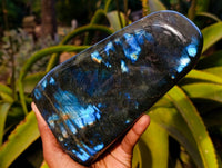 Polished Labradorite Standing Free Form x 1 From Tulear, Madagascar