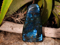 Polished Labradorite Standing Free Form x 1 From Tulear, Madagascar