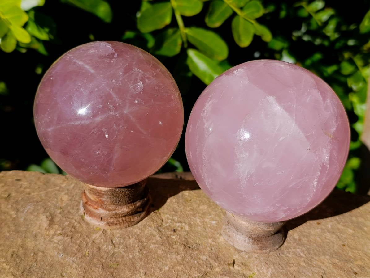 Polished Pair Star Rose Quartz Sphere x 2 Madagascar - Toprock Gemstones and Minerals 