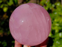 Polished Pair Star Rose Quartz Sphere x 2 Madagascar